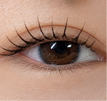 Lash lift close-up of eye